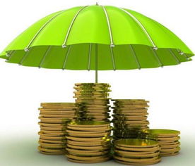 民企發債保險業設資管產品